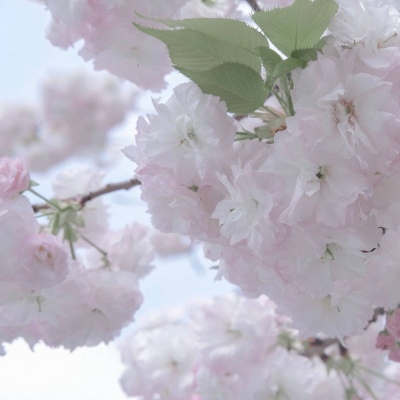 淮滨FurryQQ群介绍